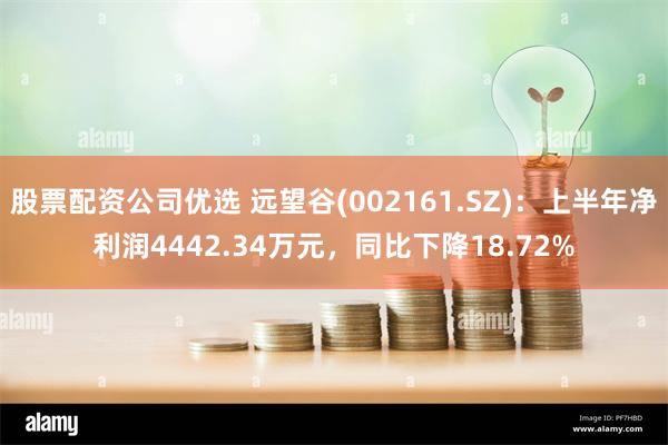 股票配资公司优选 远望谷(002161.SZ)：上半年净利润4442.34万元，同比下降18.72%