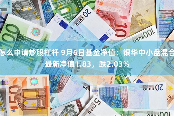 怎么申请炒股杠杆 9月6日基金净值：银华中小盘混合最新净值1.83，跌2.03%