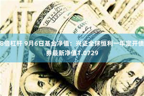 8倍杠杆 9月6日基金净值：兴证全球恒利一年定开债券最新净值1.0729