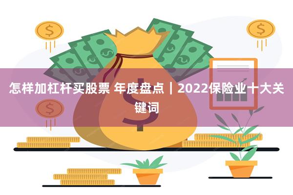 怎样加杠杆买股票 年度盘点｜2022保险业十大关键词