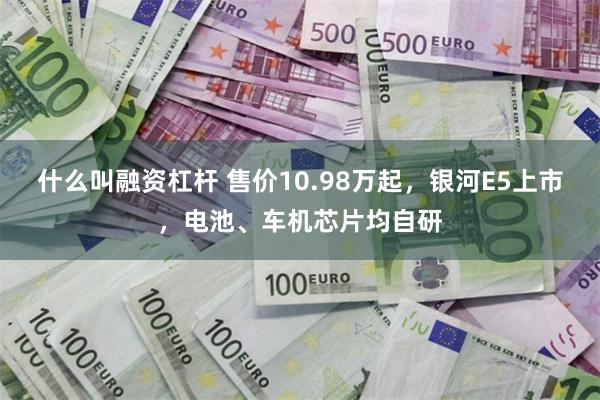 什么叫融资杠杆 售价10.98万起，银河E5上市，电池、车机芯片均自研