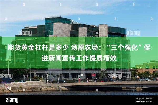 期货黄金杠杆是多少 汤原农场：“三个强化”促进新闻宣传工作提质增效