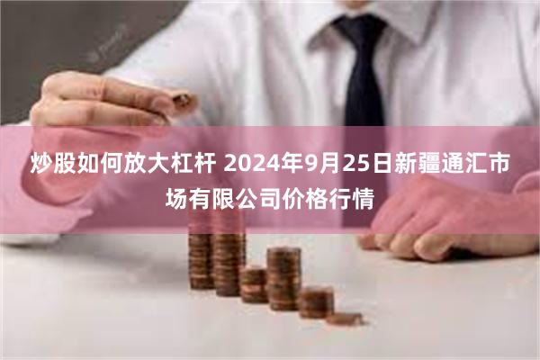 炒股如何放大杠杆 2024年9月25日新疆通汇市场有限公司价格行情