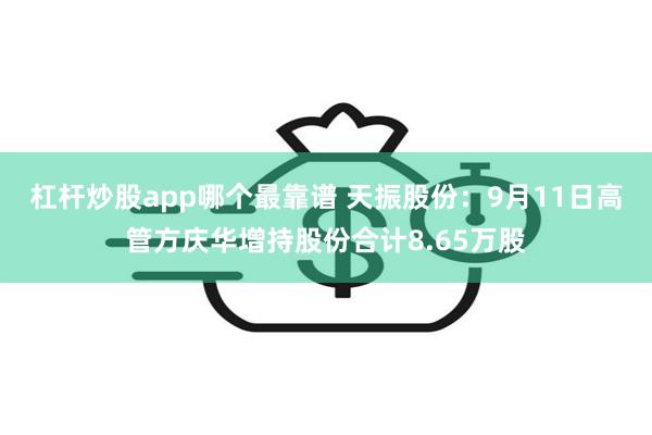 杠杆炒股app哪个最靠谱 天振股份：9月11日高管方庆华增持股份合计8.65万股