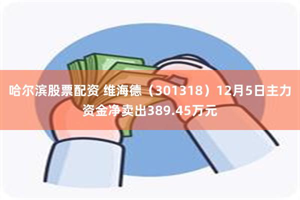 哈尔滨股票配资 维海德（301318）12月5日主力资金净卖出389.45万元