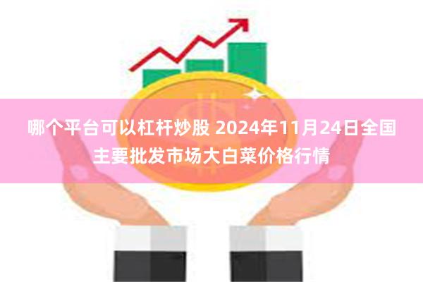 哪个平台可以杠杆炒股 2024年11月24日全国主要批发市场大白菜价格行情